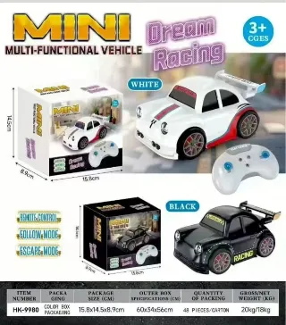 Mini Dream Racing Car